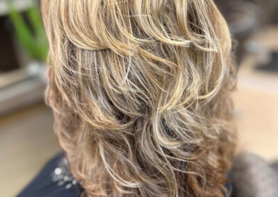 Sheila’s Hair Color Gallery, Haircut by Lisa